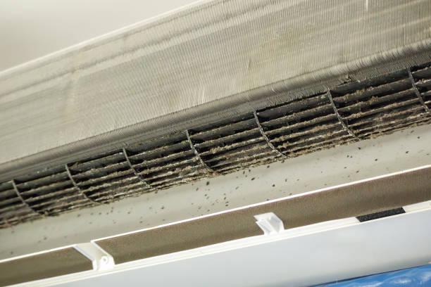 Best Affordable Air Duct Cleaning  in Greenfield, TN